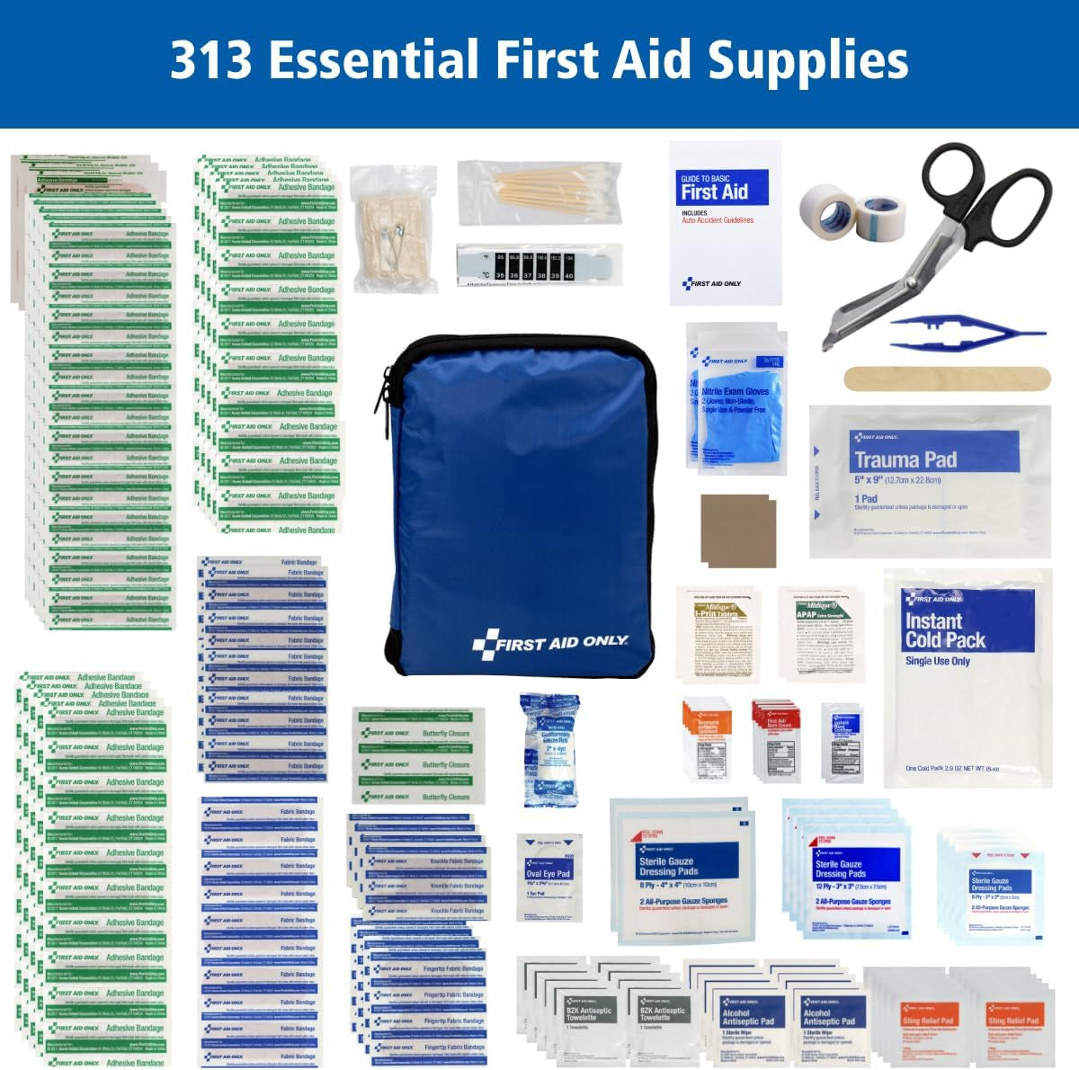 313 Piece Home & Go Emergency First Aid Kit (91081)